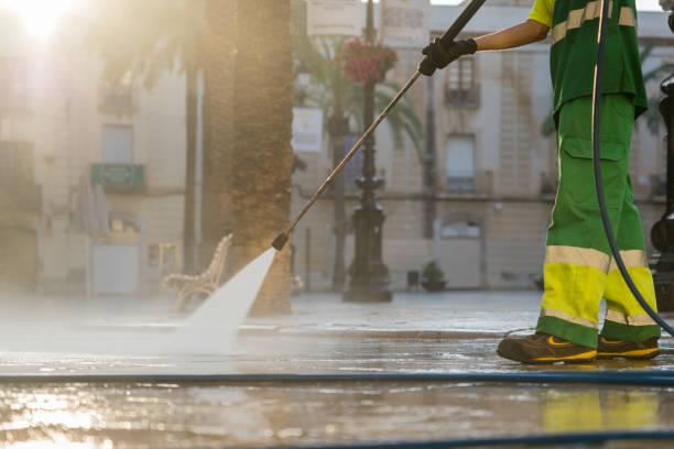 Best Soft Washing for Delicate Surfaces in Oakland, MD